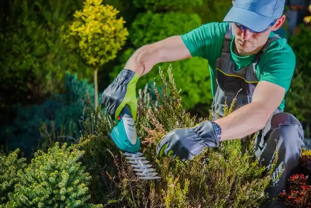 landscaping services Overland